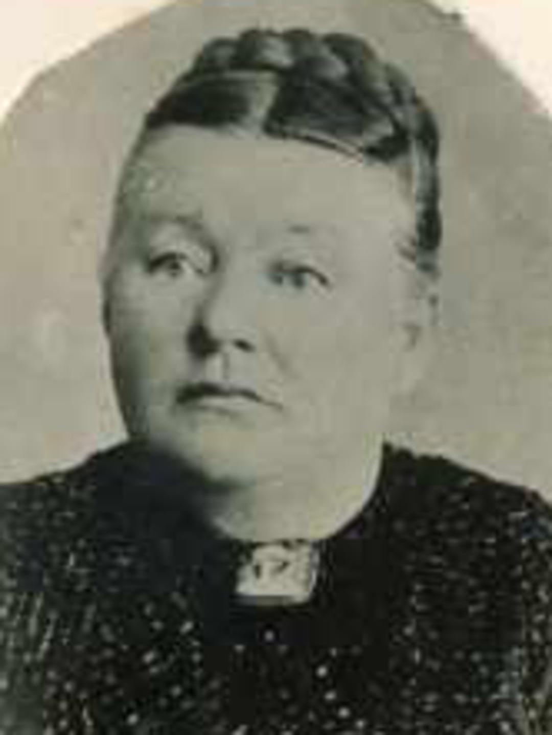 Eliza Lewis (1839 - 1917) Profile